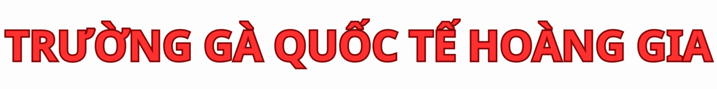 Trường Gà Hoàng Gia Campuchia Trực Tiếp Đá Gà C1 Tại Hệ Thống 368 & TGQUOCTE